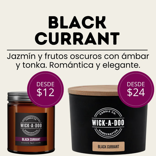 Black Currant